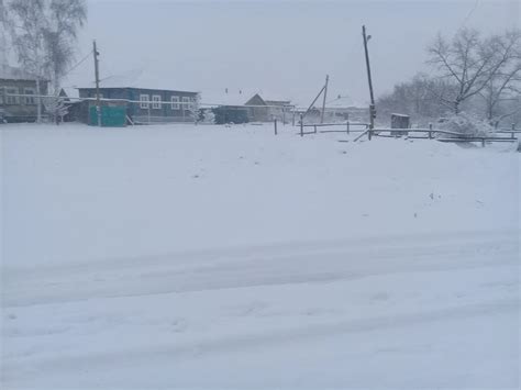 Избегайте резких движений вблизи кошки