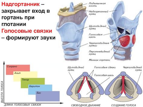 Избегание факторов, негативно влияющих на голосовые связки