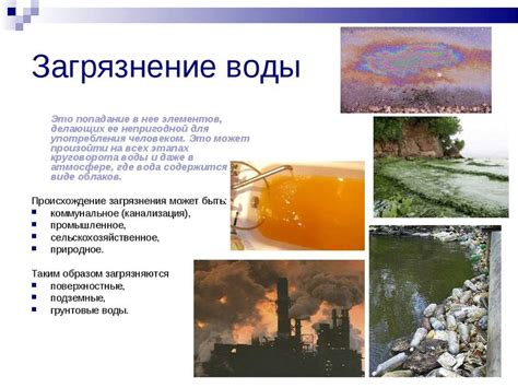 Избыток вредных веществ и загрязнений - почему необходимо проводить процедуры очистки рыбы