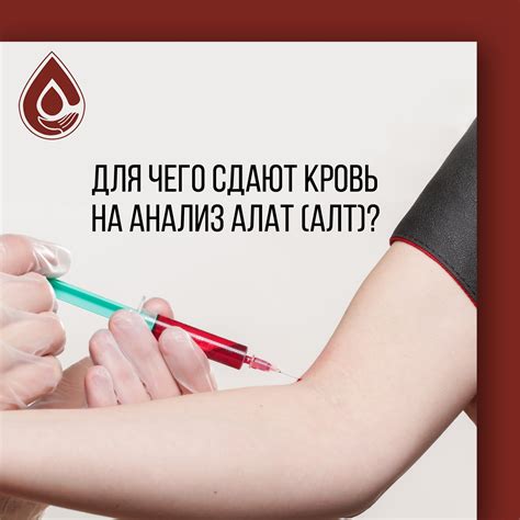 Изведанные подходы к борьбе с низким уровнем Аланин-аминотрансферазы в крови