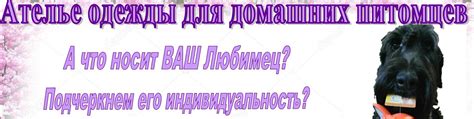 Изготовление одежды для ваших питомцев: пошаговая методика с изображениями