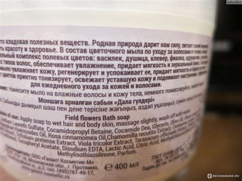 Изготовление чернил из гальзанга и гвоздики: тайны природы и аромат эстетики