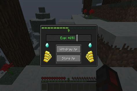 Изменение визуального опыта в игре Minecraft: моды и ресурс-паки
