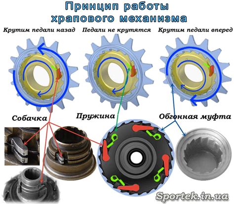 Изменение высоты звуков на фисгармонии: принцип работы механизма клавиш