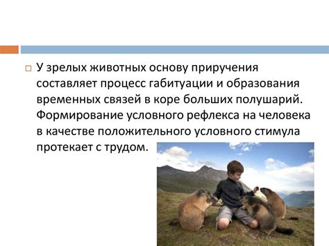 Изменения в поведении животных в качестве индикатора предстоящего сейсмического события