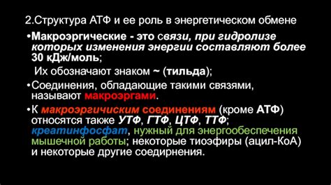 Изменения в энергетическом обмене при отсутствии сахара и хлеба