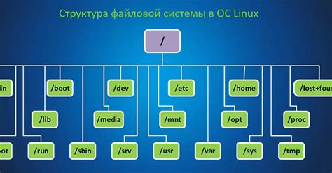 Изучаем базовые принципы файловой системы операционной системы Linux