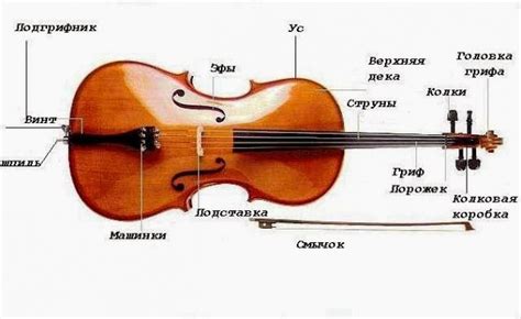 Изучаем необходимые средства для регулировки формы струнного инструмента