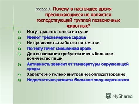 Изучение возможностей компьютерной платформы