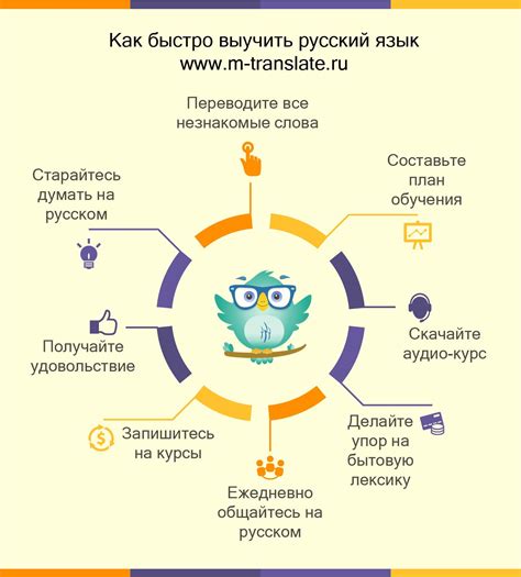 Изучение возможностей Surroundead для пользователей русского языка