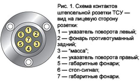 Изучение основных компонентов фаркопа: обзор элементов и их функций