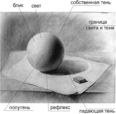 Изучение основных принципов композиции и светотени в трехмерных моделях