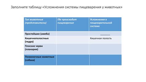 Изучение различных способов фабрикации и сплетения ткани