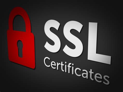 Изучение SSL-сертификатов