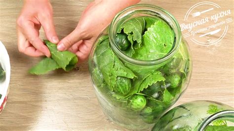 Ингредиенты, которые придают особый вкус вашей выпечке