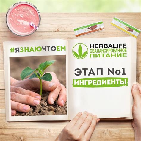 Ингредиенты и места их приобретения