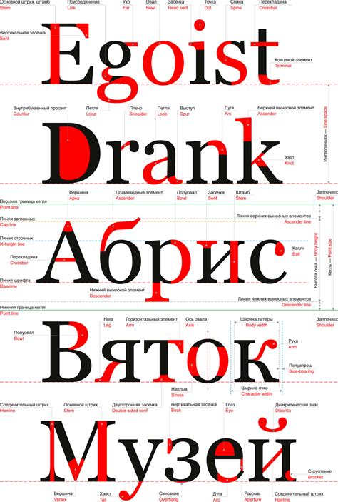 Инклюзивные шрифты: создание комфортных и доступных вариантов