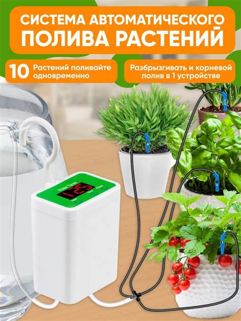 Инновационные достижения в области автоматического полива для цветочных горшков
