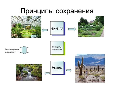 Инновационные подходы и технологии в сохранении культурной среды