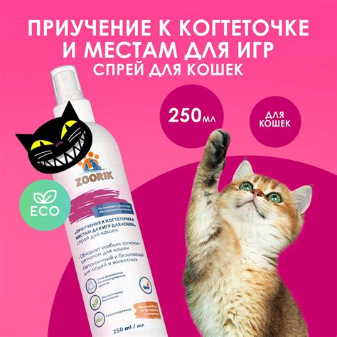 Инопланетные методы применения кошачьей мяты для привлечения кошек к когтеточке