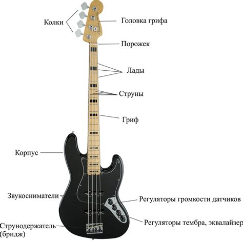 Инструментальная подготовка перед настройкой бас-гитары