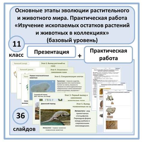Интерактивные экспонаты: увлекательное изучение природы и животного мира
