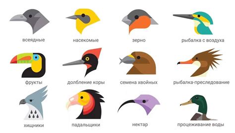 Интерпретация видов птиц как предзнаменований