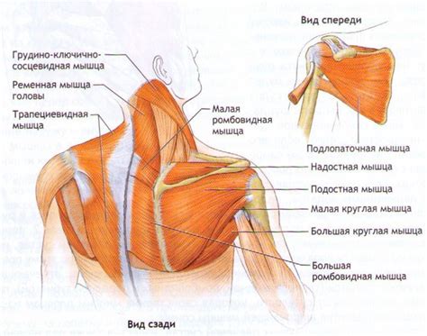 Интерпретация графика головы и плечей