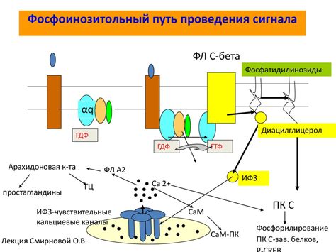 Интерференция, помехи и препятствия на пути передачи сигнала