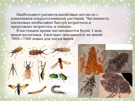 Интуитивные представления: толкование грез с появлением светлых насекомых