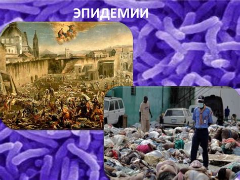 Инфекционные заболевания и глобулин
