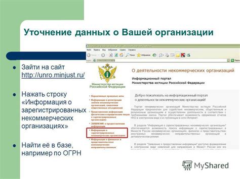 Информация о зарегистрированных организациях