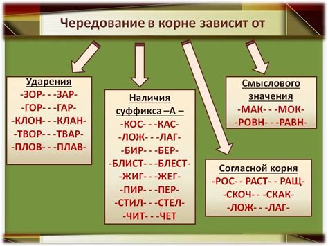 Исключения в правописании буквы "а"
