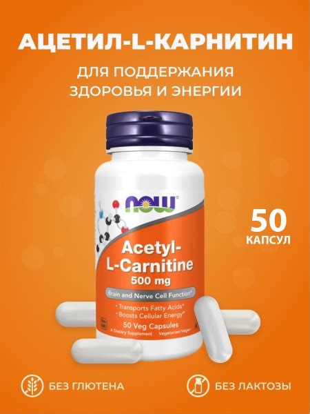 Использование ацетил-L-карнитина для усиления когнитивной функции и улучшения памяти