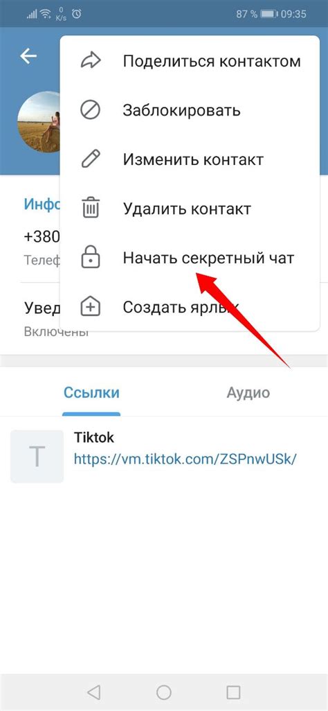 Использование возможностей сервера для восстановления удаленной переписки в Телеграме
