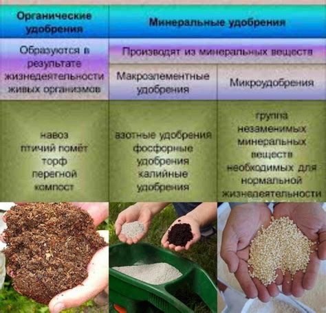 Использование в качестве удобрения для сельского хозяйства