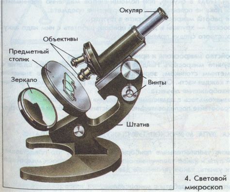Использование лупы или микроскопа: подробное рассмотрение золота