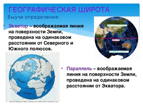 Использование мха для определения южного и северного направлений