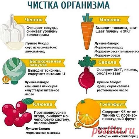 Использование натуральных продуктов для борьбы со неприятными ароматами