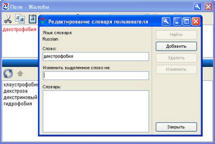 Использование пользовательского словаря