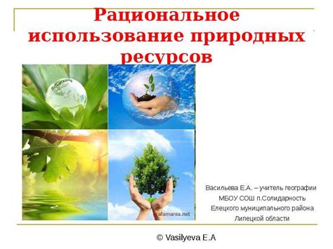 Использование природных средств для борьбы с проблемами переваривания