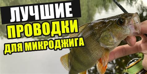 Использование снастей и методы ловли: техника и стратегии