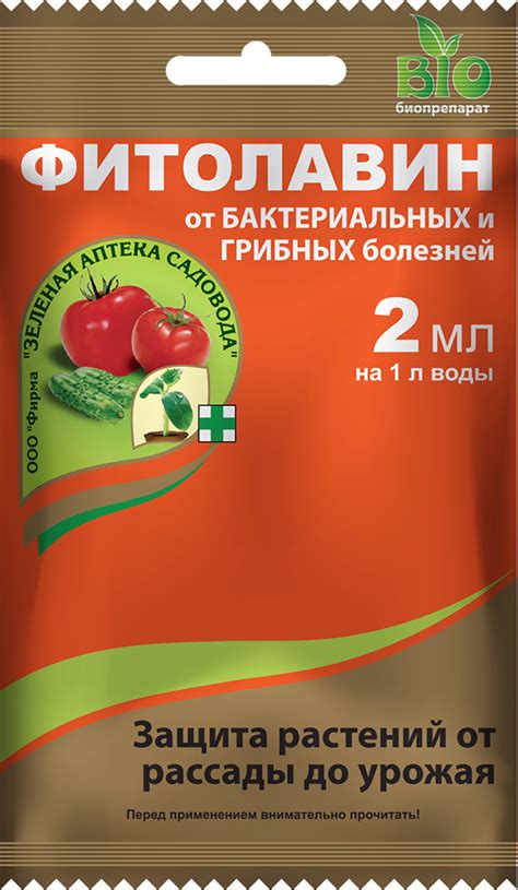 Использование специальных препаратов для борьбы гнили