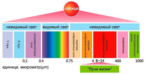 Использование теплового излучения в технологиях нагрева