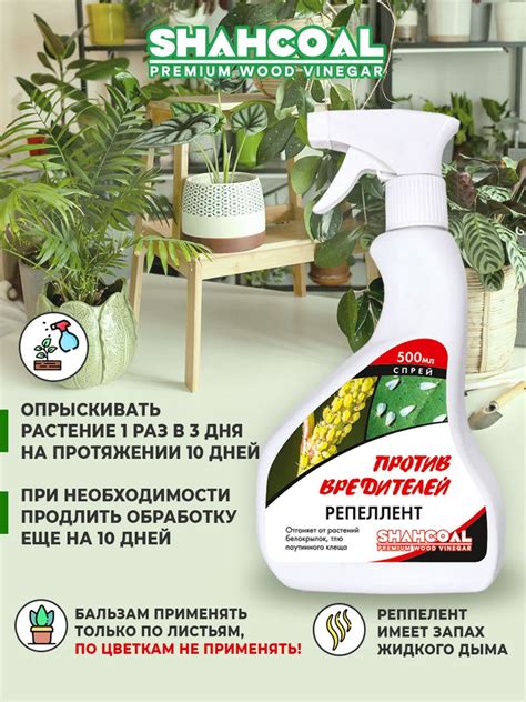 Использование уксуса для борьбы с грибком в мебельном шкафу