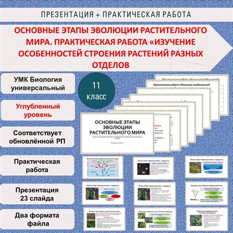 Исследование особенностей разных уровней сложности: изучение особенностей каждой вариации