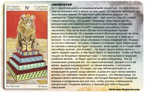 Историческая трактовка сновидений с участием кошек