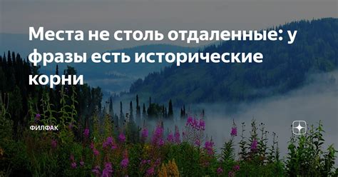Исторические корни фразы "без власти и влияния"