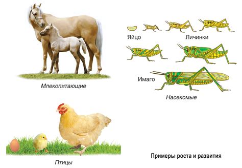 Историческое развитие и современная роль блинкерных табло