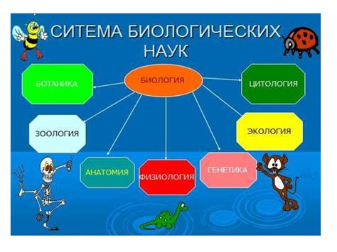 История изучения головни в биологии